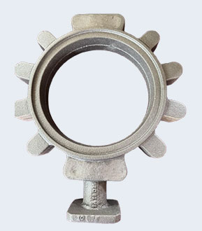 Swaroop Alloy Product Delval Casting